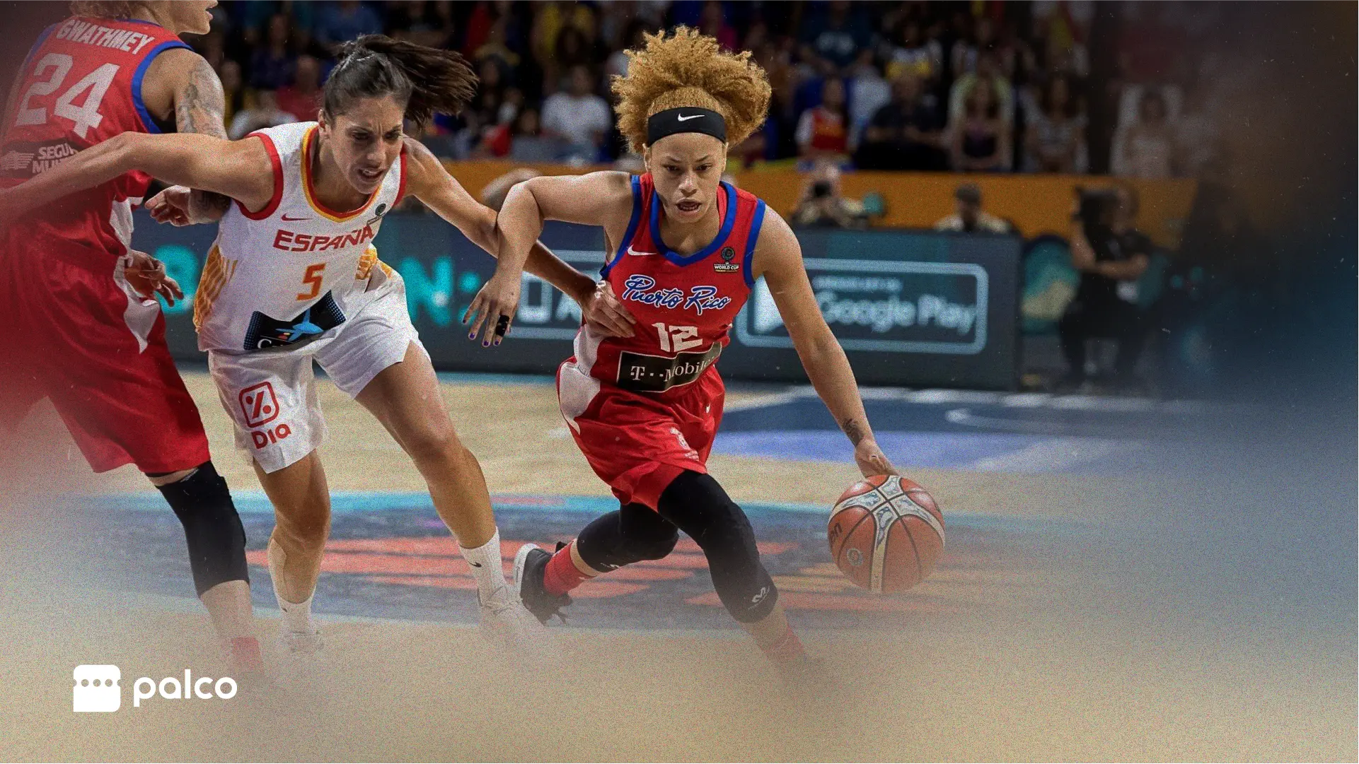 Women's Basketball World Cup