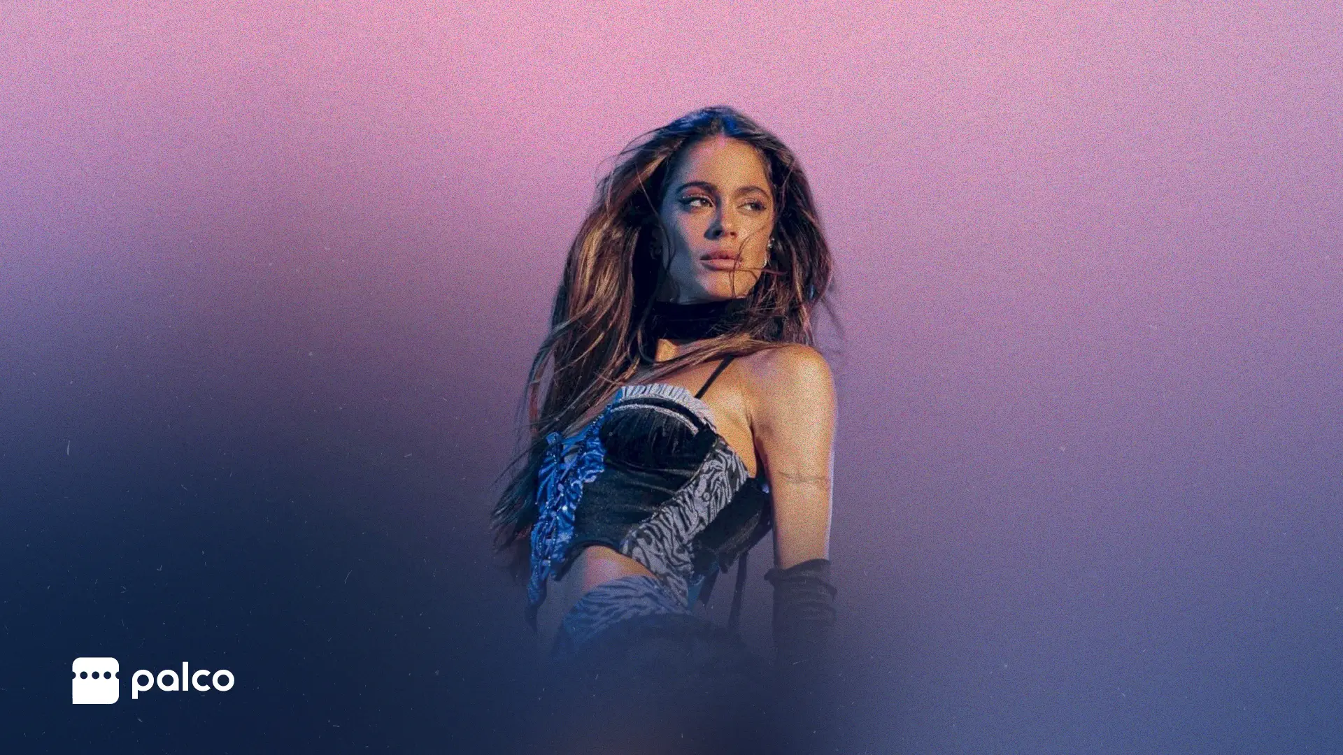 TINI Tour